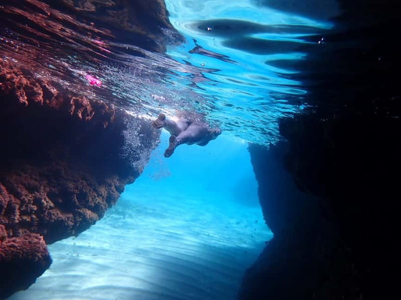 5-hour Cape Greco Caves kayaking + Snorkelling trip - Key points at a glance