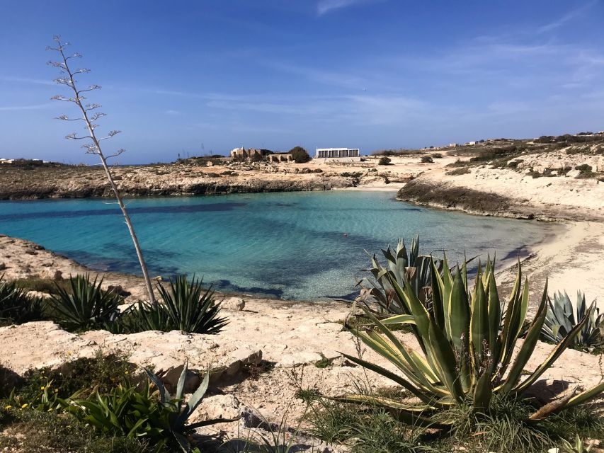 5 hours Lampedusa: Boat Tour with panino SUP e snorkeling - What the $62.63 price really covers