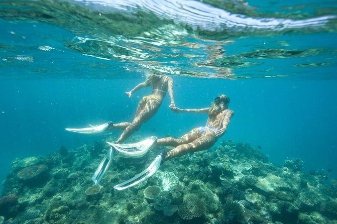 5-in-1 Adventure in Cancun: ATVs, Ziplines, Speed Boat, Snorkel and Cenote Swim - Six ziplines, plus a cenote swim