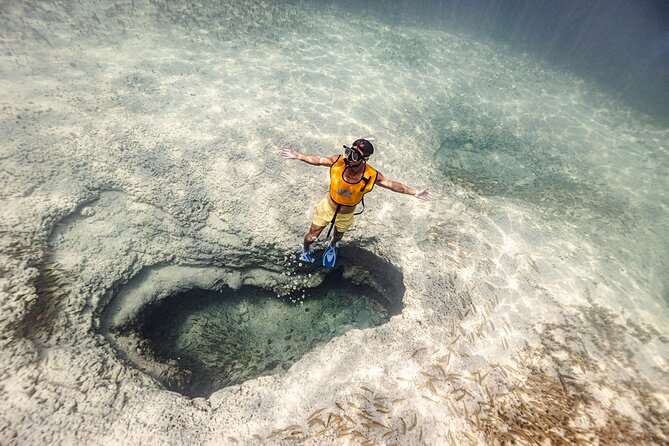5-in-1 Cancun Snorkeling Tour with Sea Life & Transport Included - Five useful facts before you book