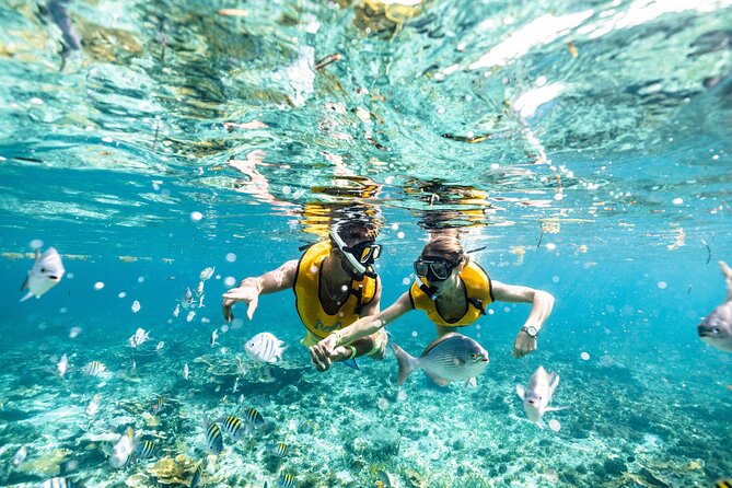 5-in-1 Cancun Snorkeling Tour with Sea Life & Transport Included - Stops two and three: art, turtles, and rays