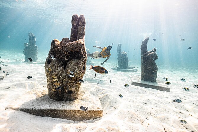 5-in-1 Cancun Snorkeling Tour with Sea Life & Transport Included - Stop four: a coral-covered shipwreck