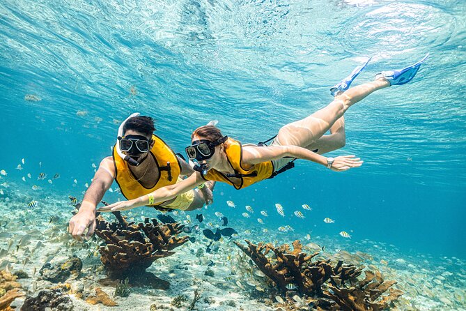 5-in-1 Cancun Snorkeling Tour with Sea Life & Transport Included - Why the small group helps