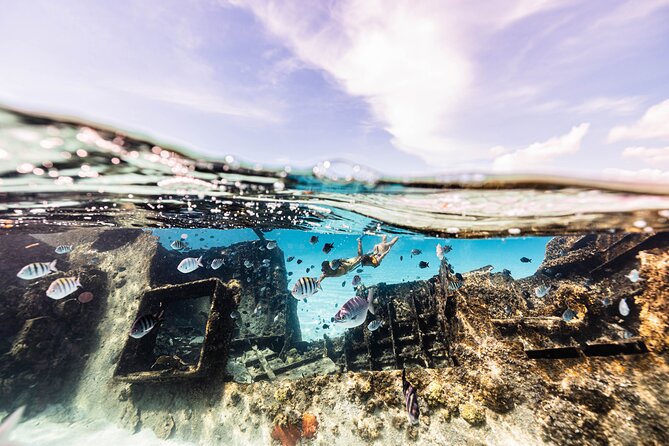 5-in-1 Cancun Snorkeling Tour with Sea Life & Transport Included - Photos and videos: the important warning