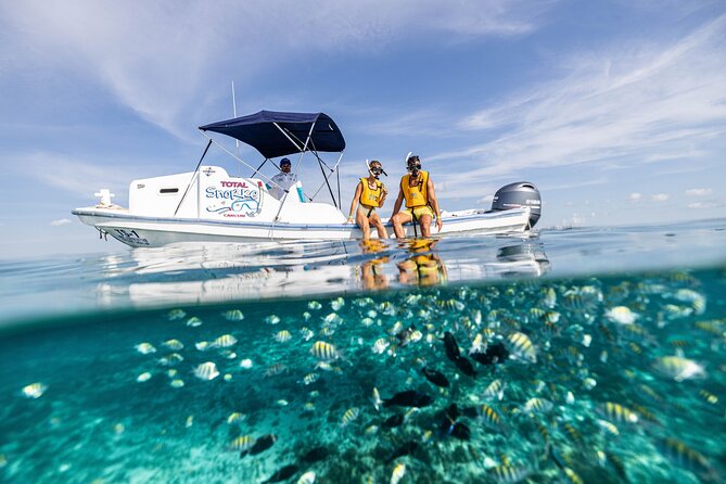 5-in-1 Cancun Snorkeling: Turtles, Reef, Musa, Shipwreck, Cenote - Stop one: reef fish in shallow water