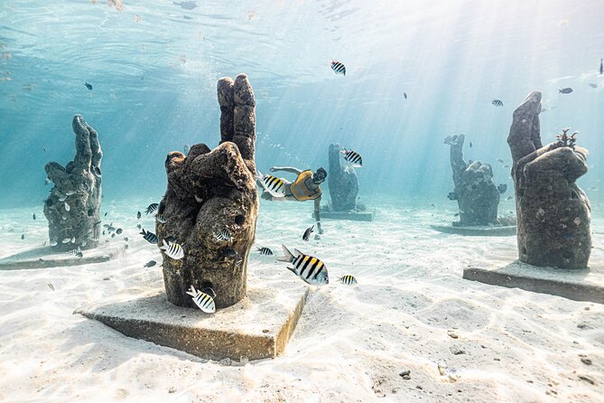 5-in-1 Cancun Snorkeling: Turtles, Reef, Musa, Shipwreck, Cenote - Stops two and three: MUSA’s underwater statues