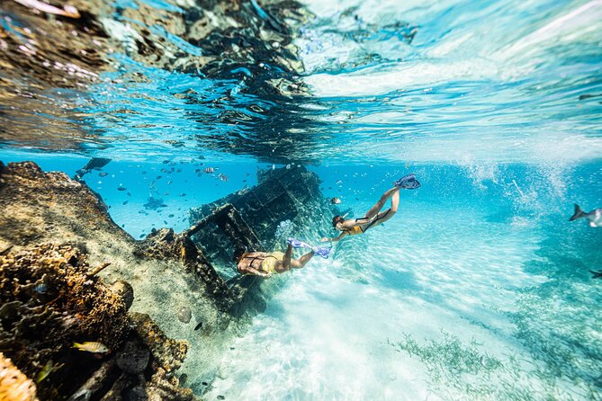 5-in-1 Cancun Snorkeling: Turtles, Reef, Musa, Shipwreck, Cenote - Stop four: turtles, rays, and the best wildlife moment