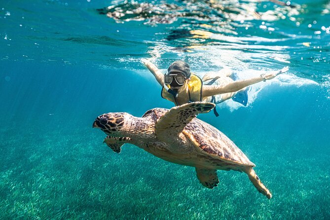 5-in-1 Cancun Snorkeling: Turtles, Reef, Musa, Shipwreck, Cenote - Stop five: the shipwreck