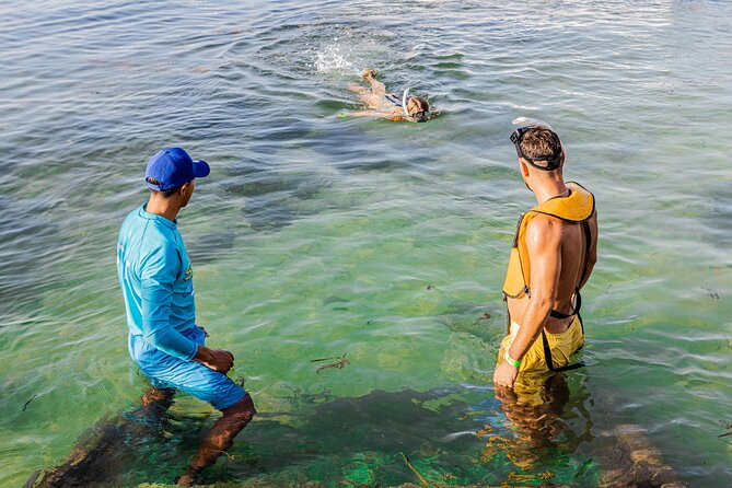5-in-1 Cancun Snorkeling: Turtles, Reef, Musa, Shipwreck, Cenote - The cenote question
