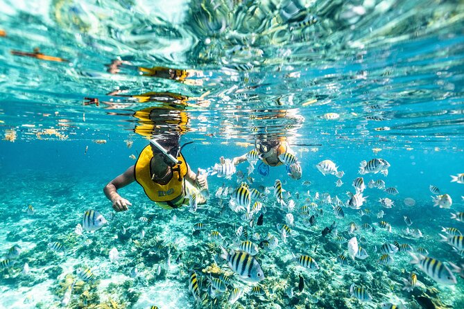 5-in-1 Cancun Snorkeling: Turtles, Reef, Musa, Shipwreck, Cenote - Getting comfortable before the boat leaves