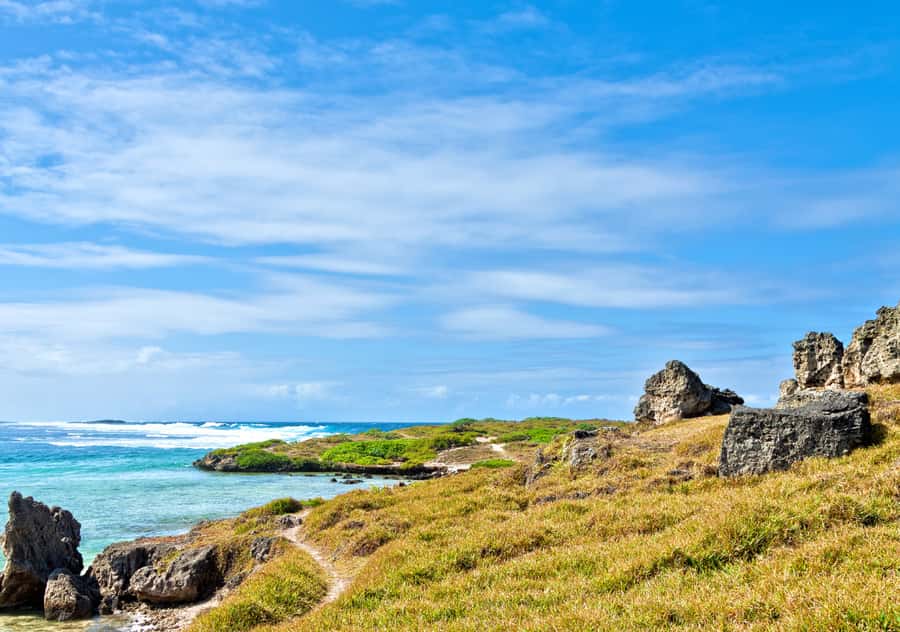5 Islands Boat Trip, Snorkeling and Lunch on Ile aux Cerfs - Ile aux Phare and Ile de la Passe