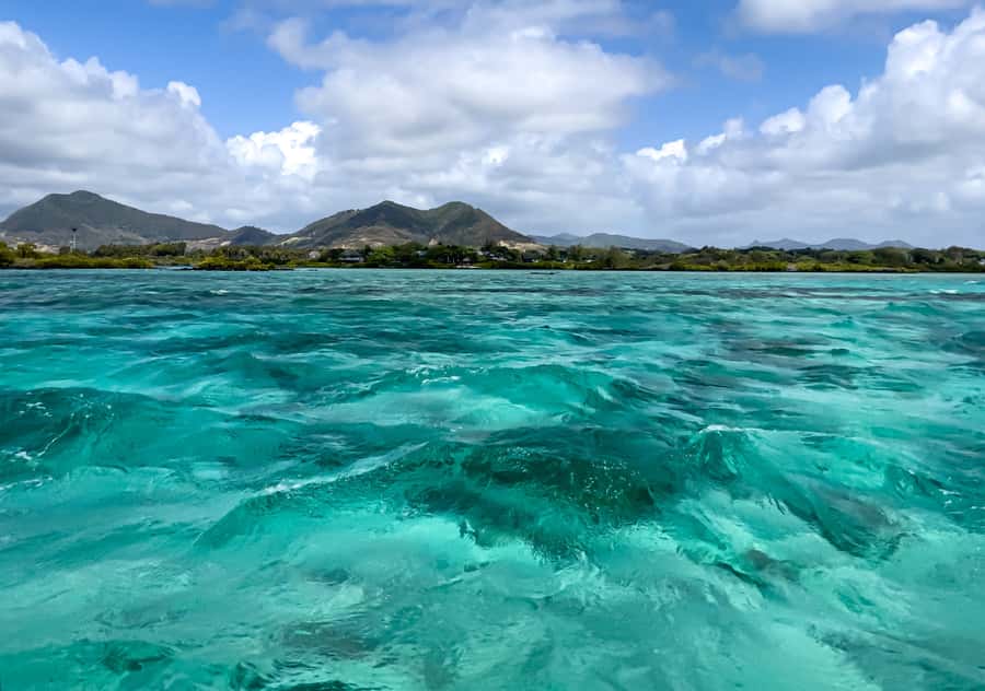 5 Islands Boat Trip, Snorkeling and Lunch on Ile aux Cerfs - Snorkeling at Blue Bay Marine Park