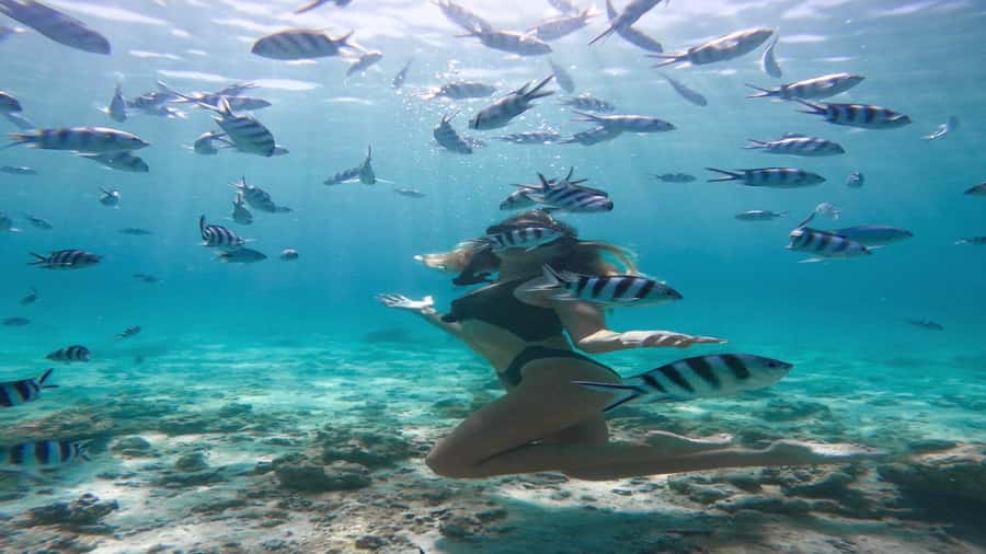 5 Islands Private Speedboat w/ Snorkeling + Lunch & Drinks - Ile aux Cerfs is the main beach and lunch stop