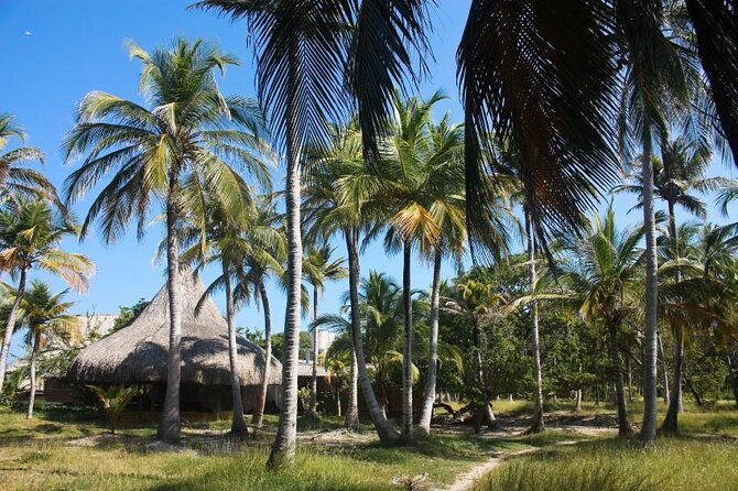 5 islands tour to rosario Islands with snorkeling activity! - Key points before you book