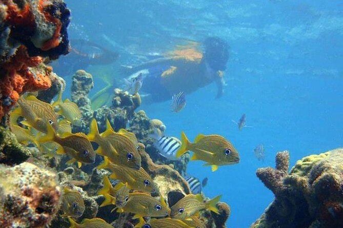 5 islands tour to rosario Islands with snorkeling activity! - Guides, group size, and the human side of the trip