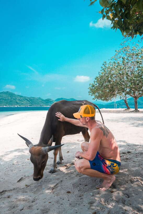 5 Secret Gili Boat Trip & Snorkeling in Southwest Of Lombok - The practical drawbacks you should weigh