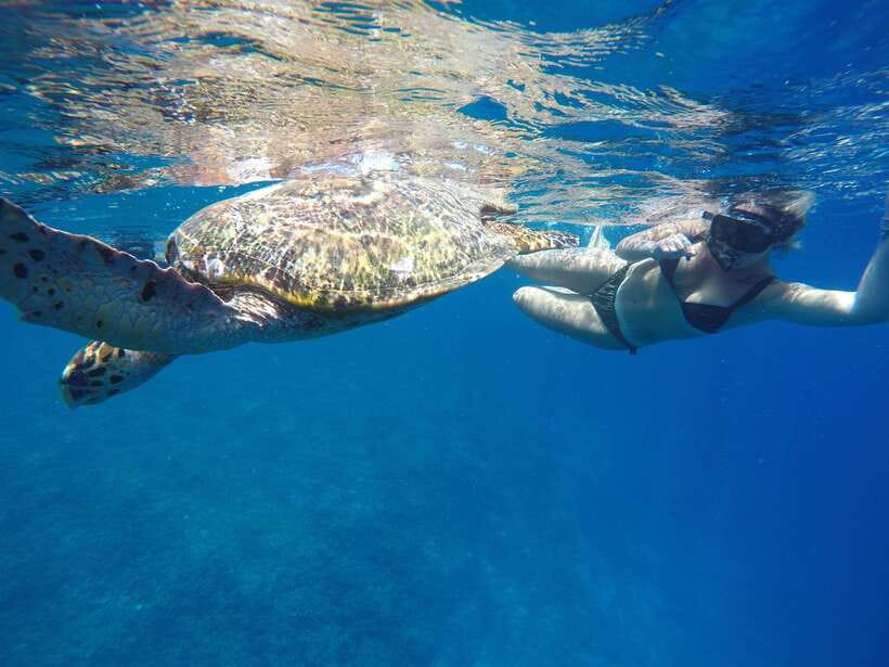 5 Secret Gili Boat Trip & Snorkeling in Southwest Of Lombok - Gili Layar: the first serious snorkeling stop