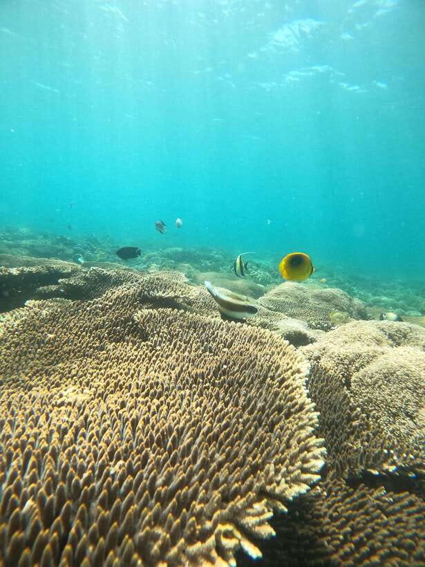 5 Secret Gili Boat Trip & Snorkeling in Southwest Of Lombok - Gili Rengit and the route details to check