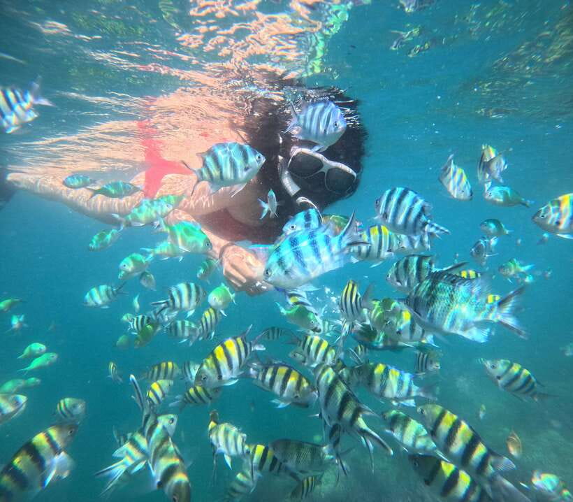 5 Secret Gili Boat Trip & Snorkeling in Southwest Of Lombok - What the guides add to the day