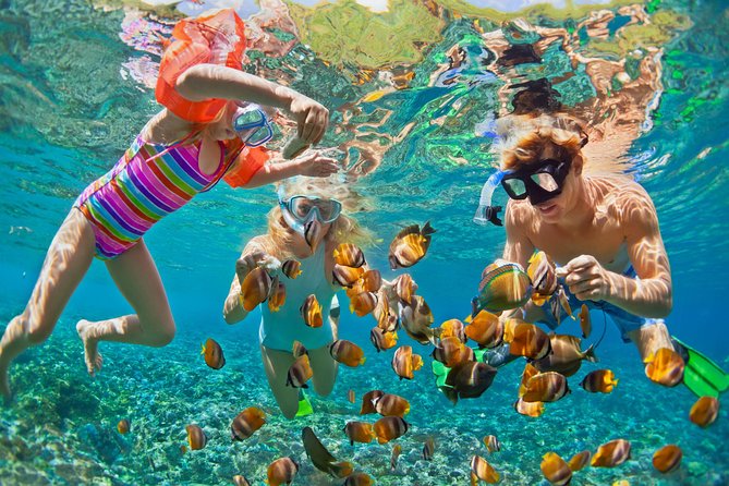 50' Luxury Yacht. Private Full or Half Day Catamaran Snorkel, & Beach Experience - Building a route that fits your group