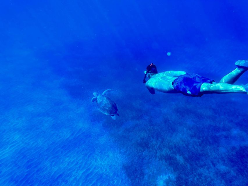 Abades: Guided Snorkeling Tour with Photos - The Turtle Question: Wonderful When It Happens