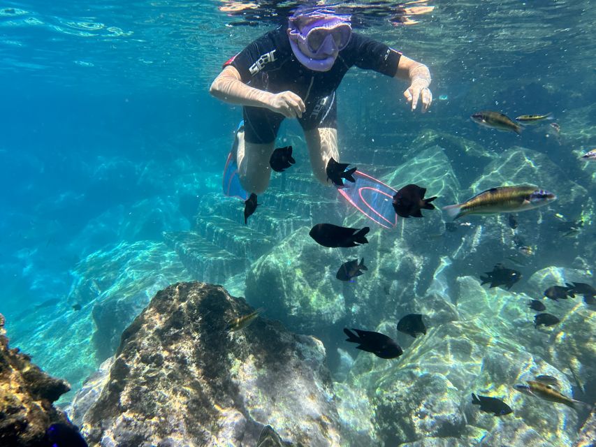 Abades: Guided Snorkeling Tour with Photos - Free Photos Turn a Good Swim Into a Keepsake