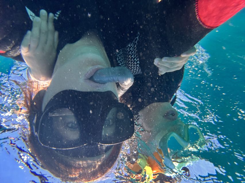 Abades: Guided Snorkeling Tour with Photos - What the $35 Price Really Covers