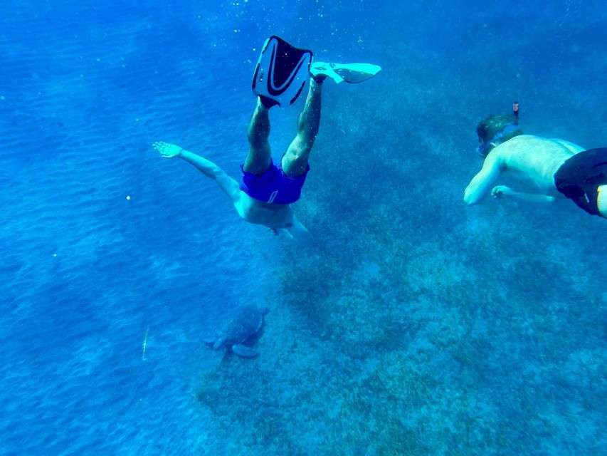 Abades: Guided Snorkeling Tour with Photos - Who Will Enjoy Playa Abades Most?