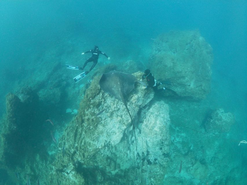 Abades: Tenerife Turtles and Rays Snorkeling Trip - What to bring and what to leave behind
