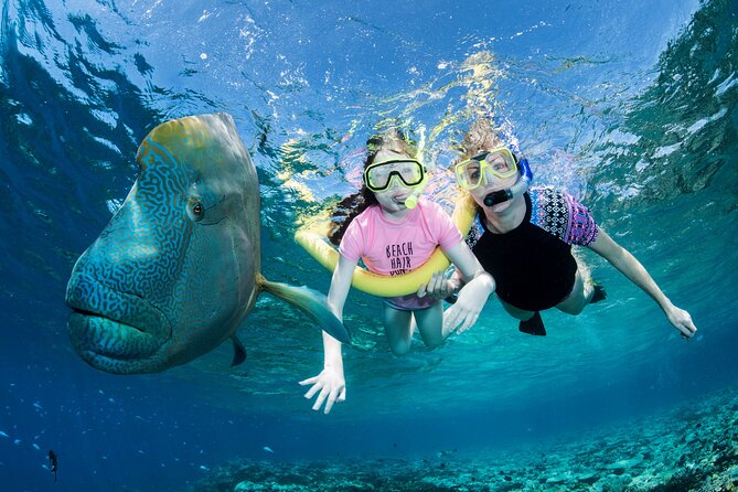 ABC Reef Safaris - The Boat Ride to the Outer Reef