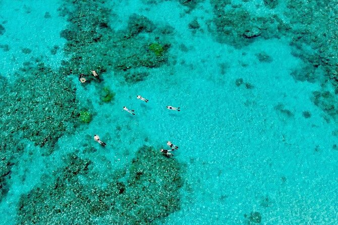 ABC Reef Safaris - Marine Biologist Guides Make the Difference