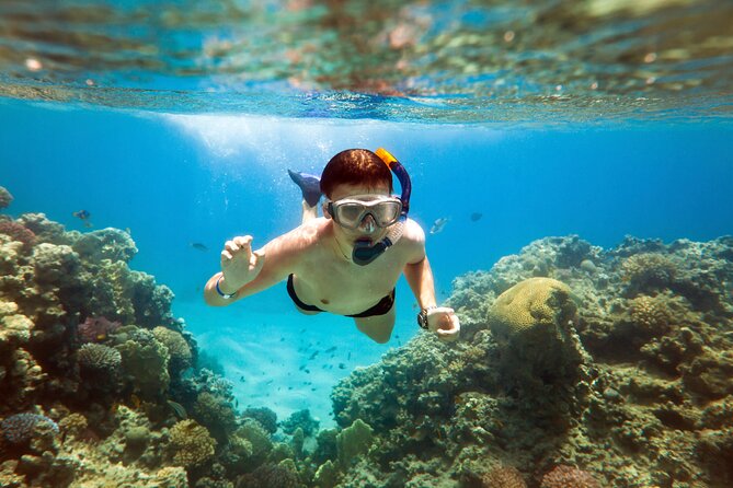 Acapulco Snorkeling Tour - Key points about the La Roqueta boat trip