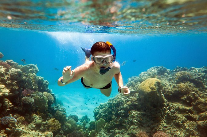 Acapulco Snorkeling Tour - What La Roqueta means on this outing