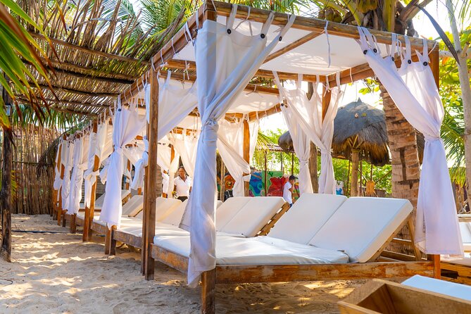 Adventure full day Isla Barú + Mangroves + Snorkel + bioluminescent plankton - Waiting for darkness and the glowing plankton