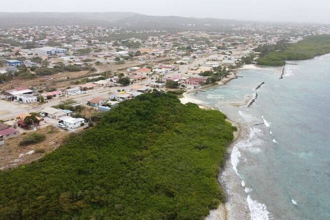 Adventure Kayak & Snorkeling at Reef Island Aruba - Guides who add more than basic supervision