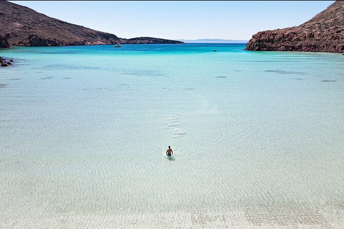 Adventure to Espiritu Santo Island: Snorkel with Sea Lions and Beach - Six details that make this outing worth considering
