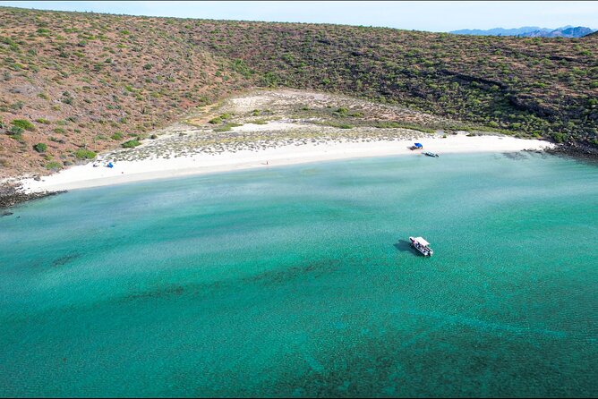 Adventure to Espiritu Santo Island: Snorkel with Sea Lions and Beach - Who should book this Espiritu Santo day trip?