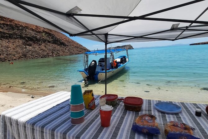 Adventure to Espiritu Santo Island: Snorkel with Sea Lions and Beach - Booking details and cancellation advice