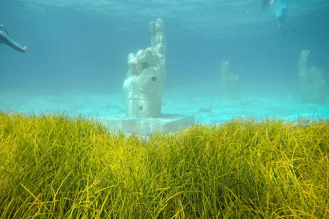Afternoon Half-Day Catmaran Sailing and Snorkel Adventure - Should you book the Cancun catamaran and snorkel adventure?