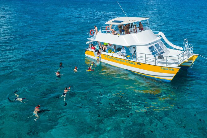 Afternoon Half Day Cruise from Providenciales with Snorkeling and Iguana Island - The Boat Slide and Jump Platform