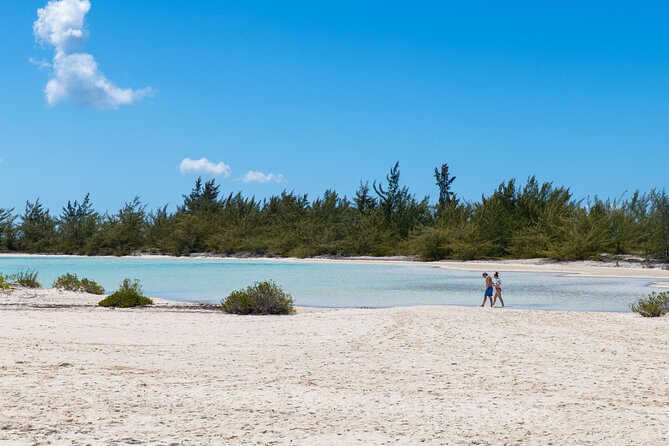 Afternoon Half Day Cruise from Providenciales with Snorkeling and Iguana Island - Meeting the Rock Iguanas on Iguana Island