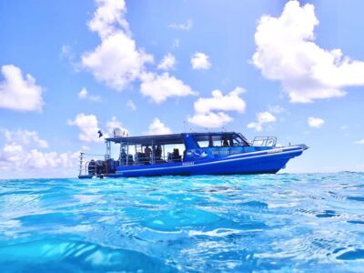 Agnes/1770: Southern Great Barrier Reef Snorkelling Day Trip