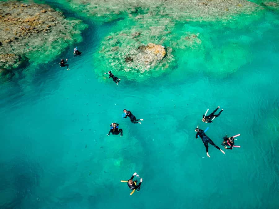 Airlie Beach: 2-Day Whitsunday Islands Sailing Snorkel Tour - Five things to know before you book