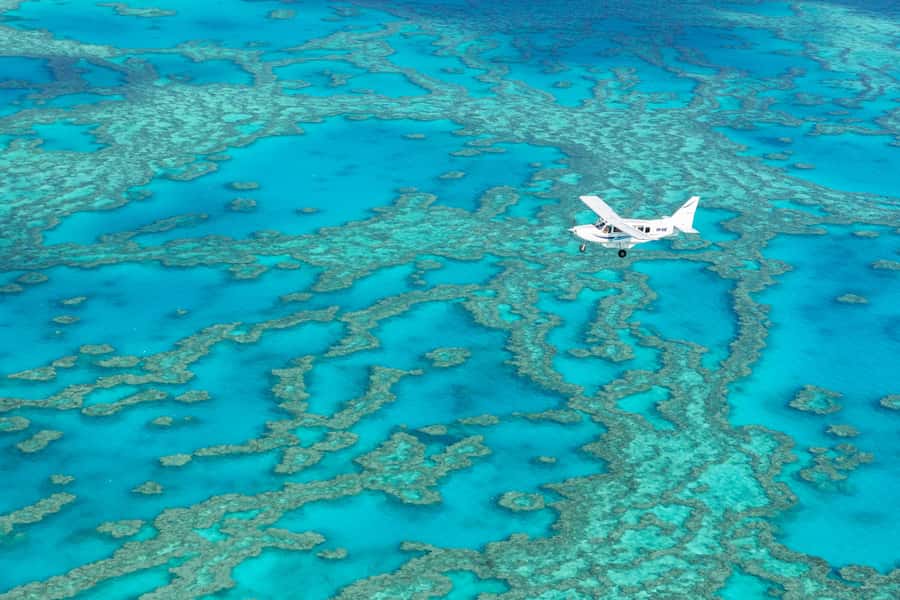 Airlie Beach: Fly Raft Package w Scenic Flight & Snorkeling - From Coach Transfer to High-Speed Raft