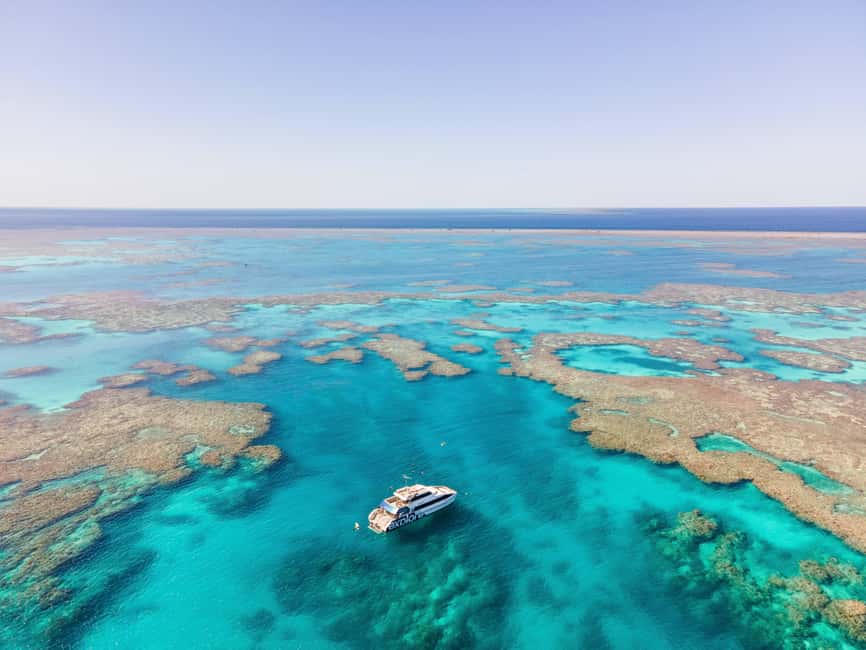 Airlie Beach: Great Barrier Reef Snorkel from Shute Harbour - Key Points Before You Book