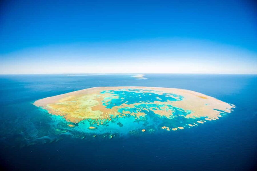 Airlie Beach: Great Barrier Reef Snorkel from Shute Harbour - The Whitsunday Route to Bait Reef