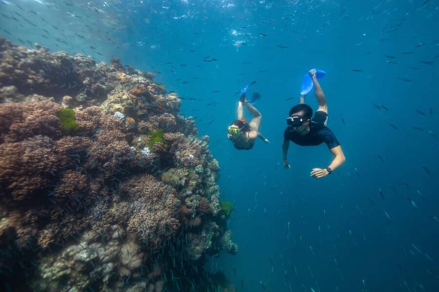 Airlie Beach: Great Barrier Reef Snorkel from Shute Harbour - A Comfortable Boat for a Long Crossing