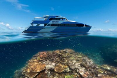 Outer Great Barrier Reef Snorkeling Day Trip