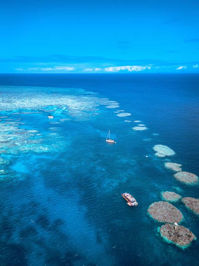 Airlie Beach: Outer Great Barrier Reef Snorkeling Day Trip - Lunch, snacks, and what you pay for
