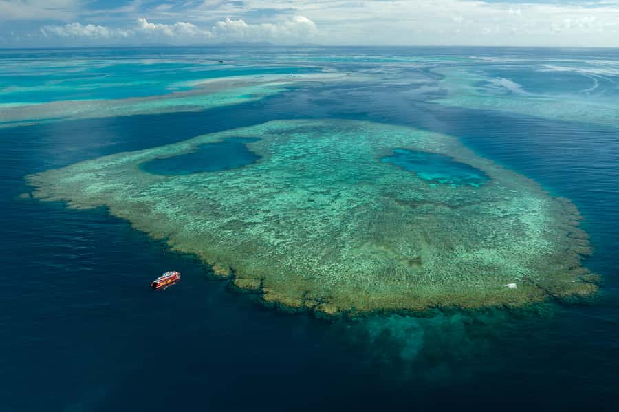 Airlie Beach: Outer Great Barrier Reef Snorkeling Day Trip - Who should book this cruise?